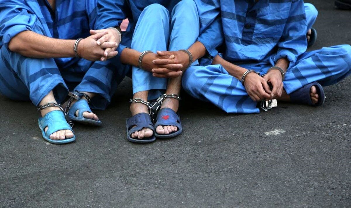 مجازات کلاهبرداری بازدارنده نیست/ باید جلوی پدیده «تجارت مجرمانه»