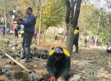 🔴 بوستان معلم شهرقدس جان تازه گرفت؛ اجرای گسترده عملیات بهسازی فضای سبز