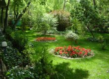 مدیریت پایدار فضای سبز در منطقه ۱۵؛ افزایش کاشت، ایمن‌سازی و نگهداری درختان و صرفه‌جویی ریالی
