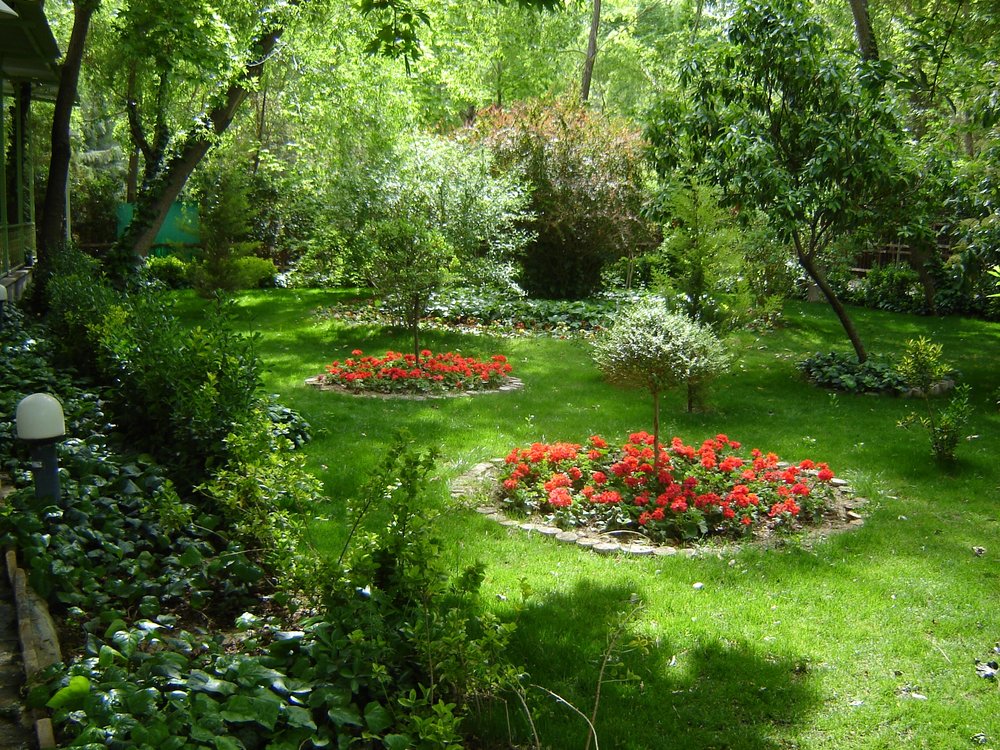 مدیریت پایدار فضای سبز در منطقه ۱۵؛ افزایش کاشت، ایمنسازی و نگهداری درختان و صرفهجویی ریالی