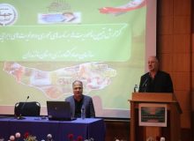 کشاورزی مازندران در آستانه تحول بزرگ / از «منابع‌بر» تا «سرمایه‌بَر» و نیاز مبرم به هویت‌بخشی محصولات