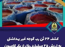 ۲۴ تن رب گوجه غيربهداشتی به بازار نرسيد