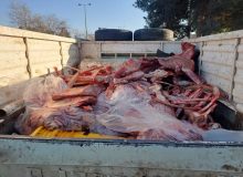 کشف و توقیف 326 کیلوگرم گوشت قرمز غیر بهداشتی در شهرستان آران و بیدگل
