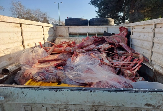 کشف و توقیف 326 کیلوگرم گوشت قرمز غیر بهداشتی در شهرستان آران و بیدگل