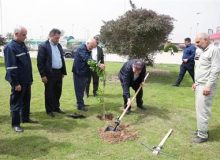 مدیرعامل نفت و گاز مارون به پویش کاشت درختان مثمر پیوست
