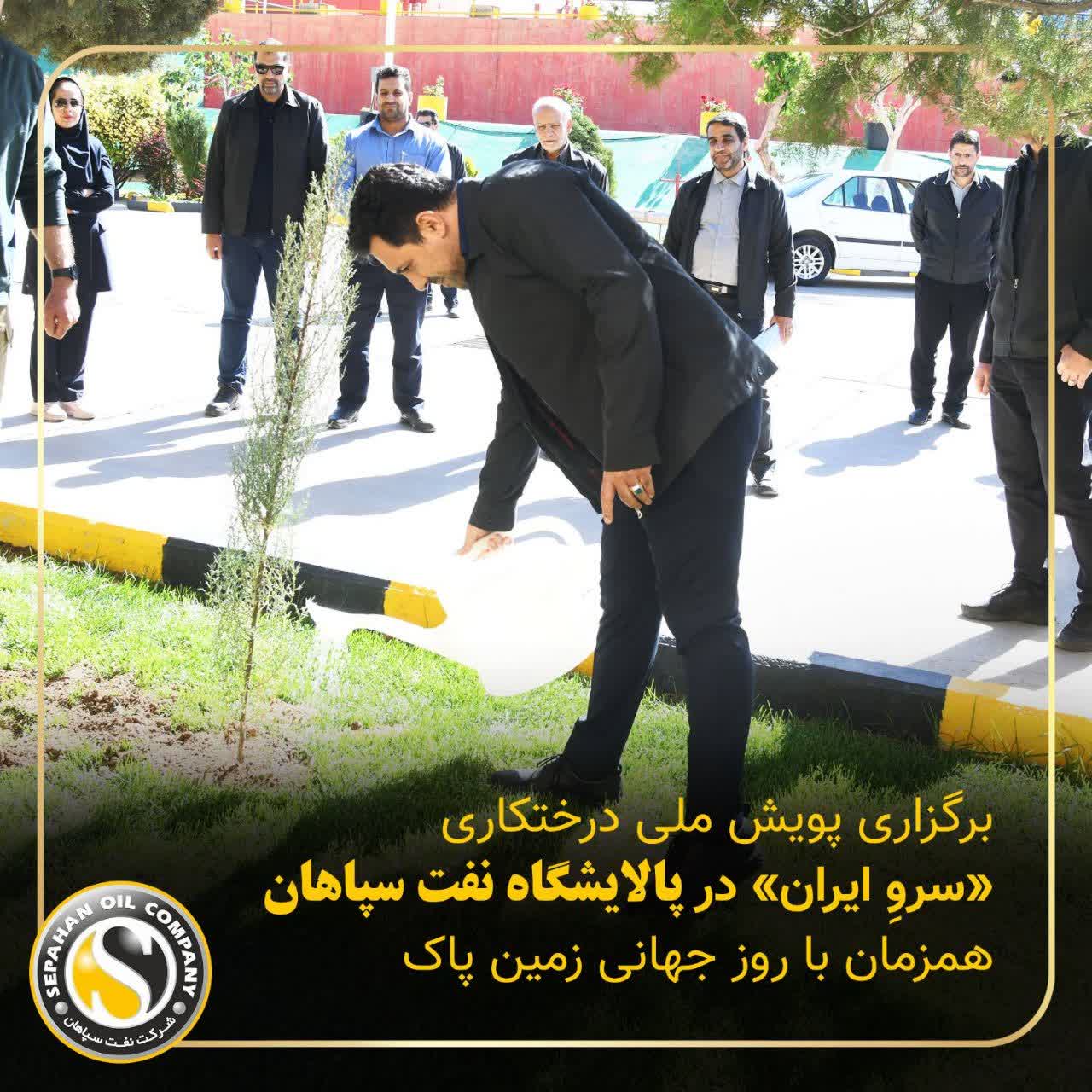 برگزاری پویش ملی درختکاری «سرو_ایران» در پالایشگاه نفت سپاهان همزمان با روز جهانی زمین پاک