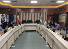 تشکیل نخستین جلسه کارگروه ژئوماتیک جهت ساماندهی داده‌های مکانی منابع طبیعی و آبخیزداری استان البرز