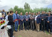 مزرعه پرورش ماهیان سردآبی با ظرفیت ۳۵ تن در مشگین‌شهر افتتاح شد