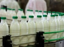 اصفهان،  قطب طلایی شیر کشور؛ از کسب رتبه نخست تولید تا ارزآوری یک‌میلیارد دلاری