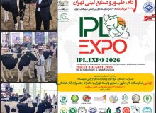 کسب مقام نخست شرکت کشت و دام  قیام اصفهان در روز دوم از ششمین جشنواره گاو هلشتاین