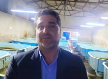 نخستین رهاسازی فیل‌ماهی پرورشی و آغاز تکثیر پاییزه خاویاری در مرکز شهید رجایی ساری