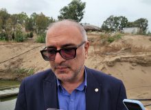نخستین برداشت میگوی وانامی در مازندران؛ برنامه‌ریزی برای توسعه ۸۰۰ هکتاری در فاز اول